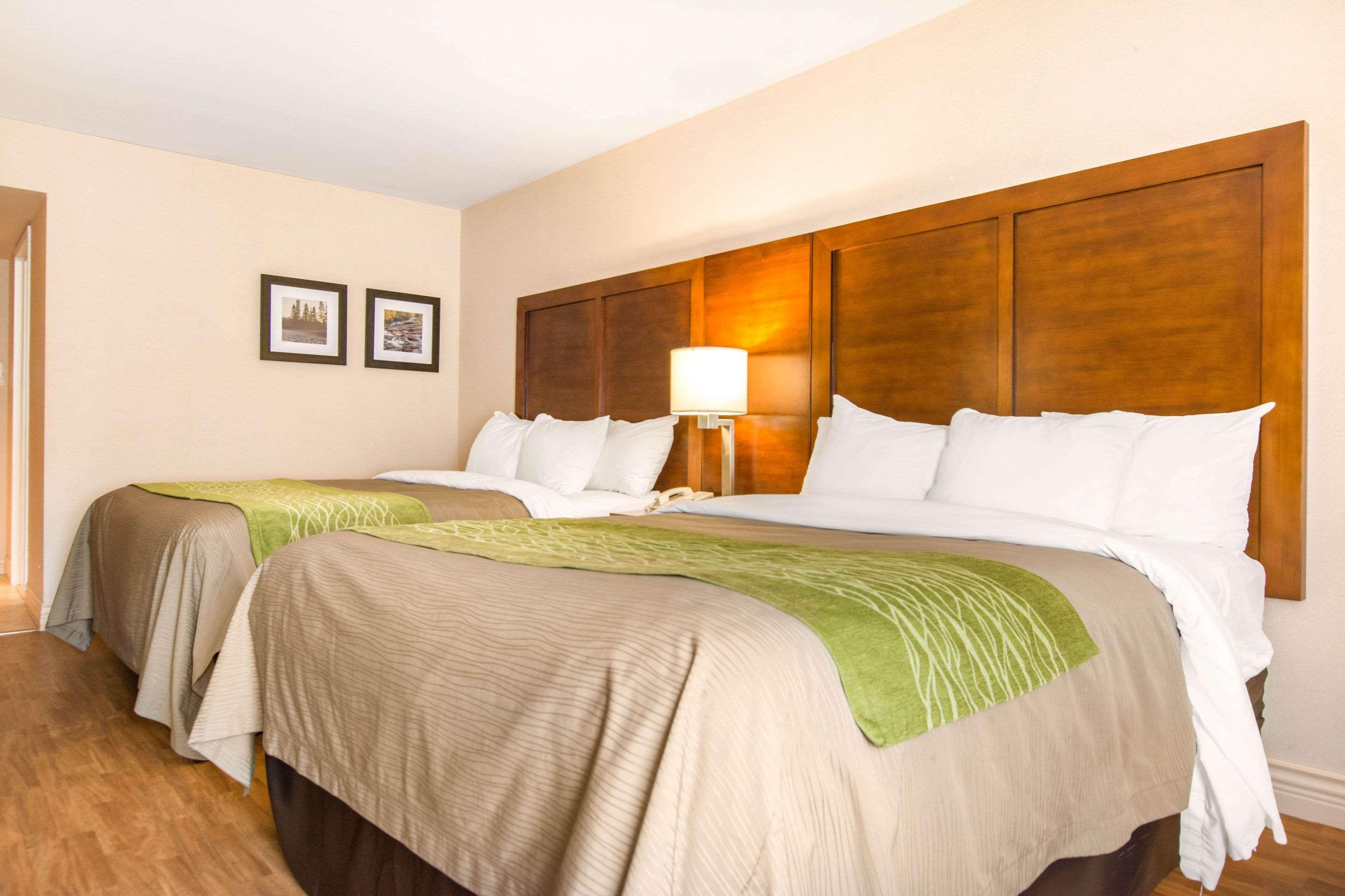 Hotel Comfort &