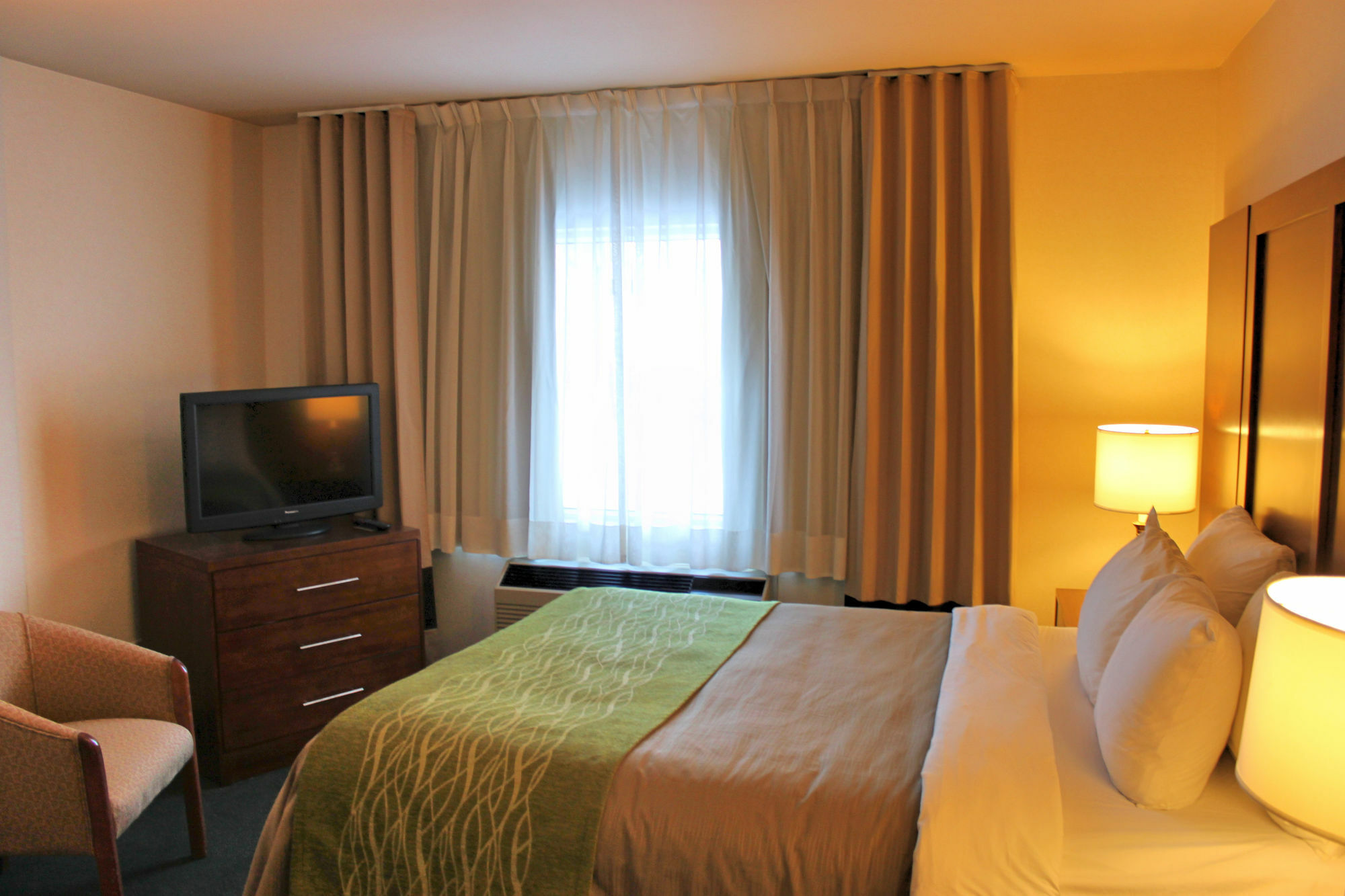 Comfort & Hotel