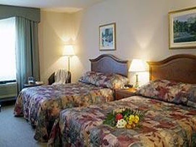 Comfort & Hotel